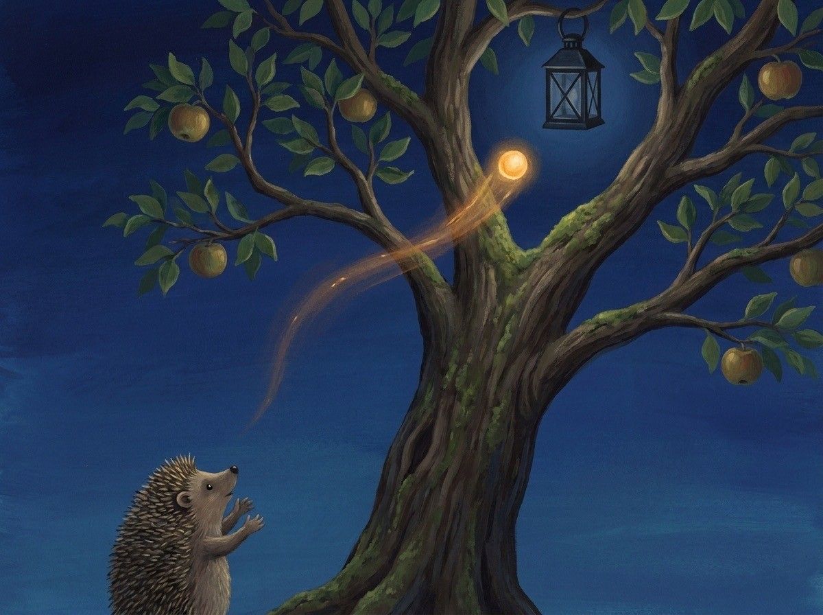 A hedgehog looks up at a lantern in an apple tree at night.